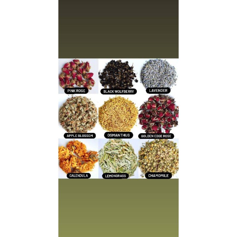 10 GRAM FLOWER TEA / BUNGA TEH / TEH telang lavender chamomile chrysanthemum 50 JENIS