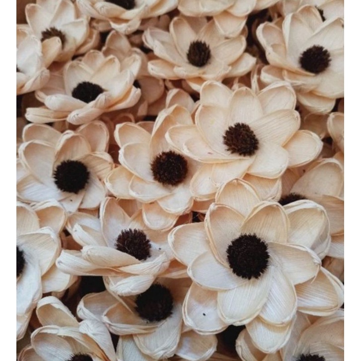 klobot jagung pompom bunga Rustic dead flower klobot matahari