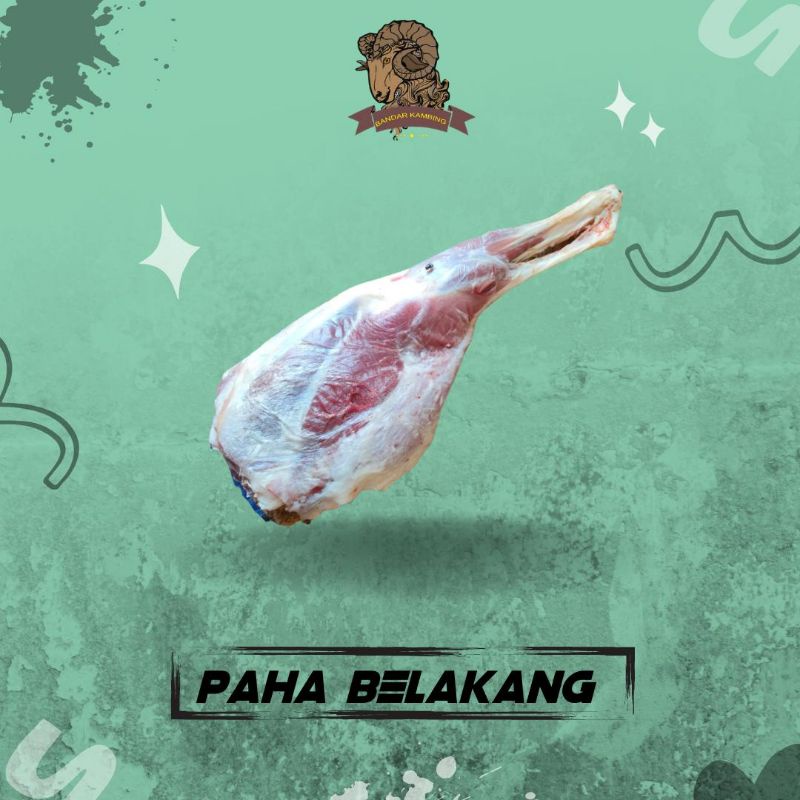 

paha belakang kambing segar