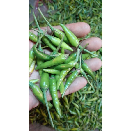 

CABE RAWIT IJO / CABLAK