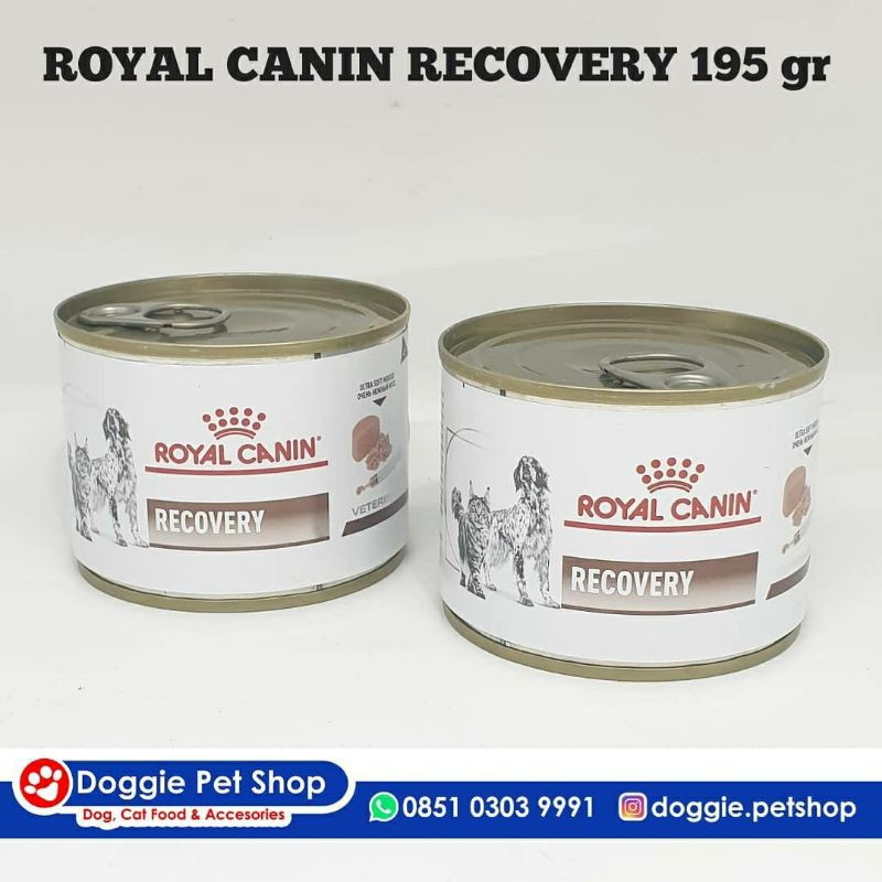 Royal Canin Recovery