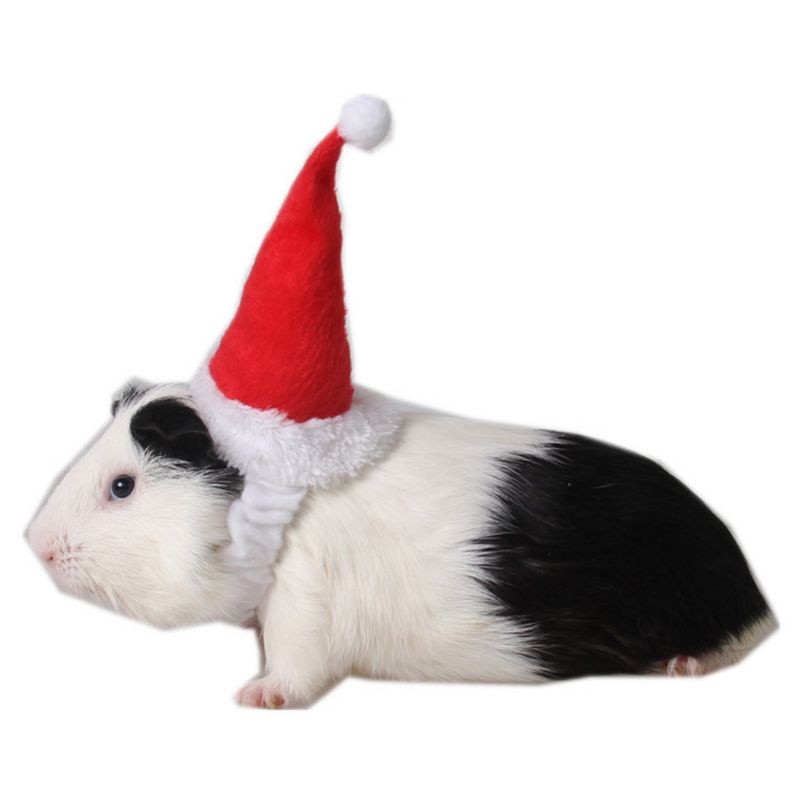 Zzz Boneka Santa Claus Natal Dengan Pompom Untuk Kelinci Chinchilla / Anak Anjing / Kucing / Reptil
