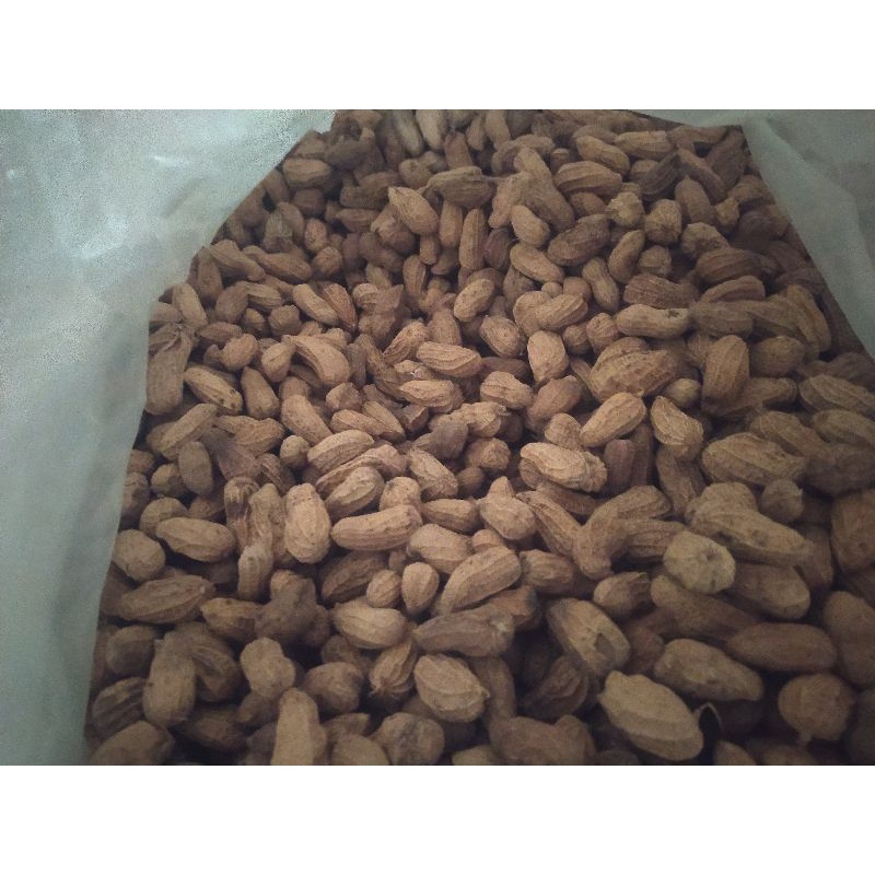 

Kacang Goreng / kacang kulit sangrai 1kg