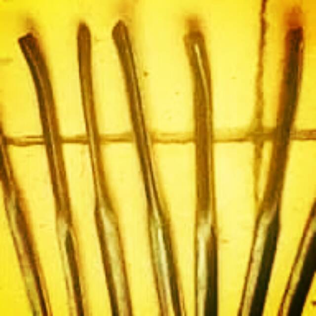 Pahat ukir kayu jenis coret bengkok satuan