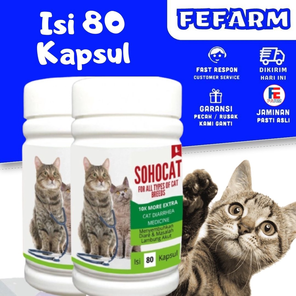 Obat Kucing MASALAH PENCERNAAN untuk Diare, Mencret, Pup Berdarah dan Radang Usus FEFARM