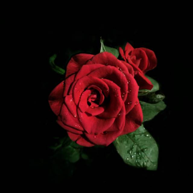 aqilachairunnisaputri