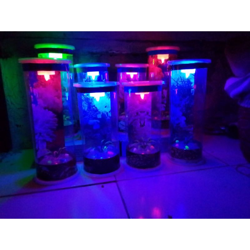 Aquarium Mini Tabung Bulat Mika Cocok Buat Ikan Cupang Gumppy-D 10cm T 25cm