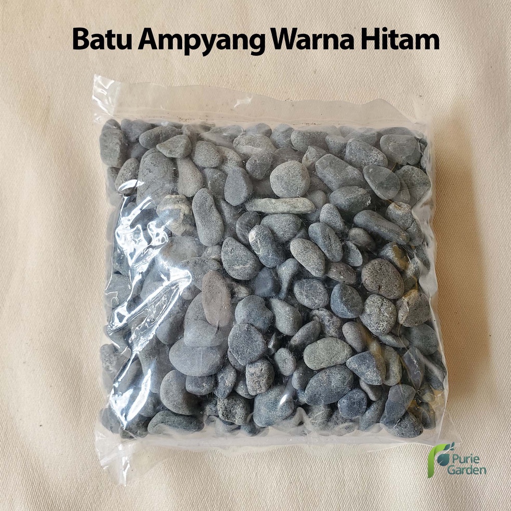 Batu Hias Tanaman Koral Ampyang Italy 500gr PG KDR