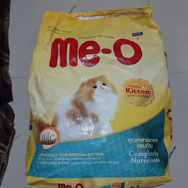 meo kitten persian