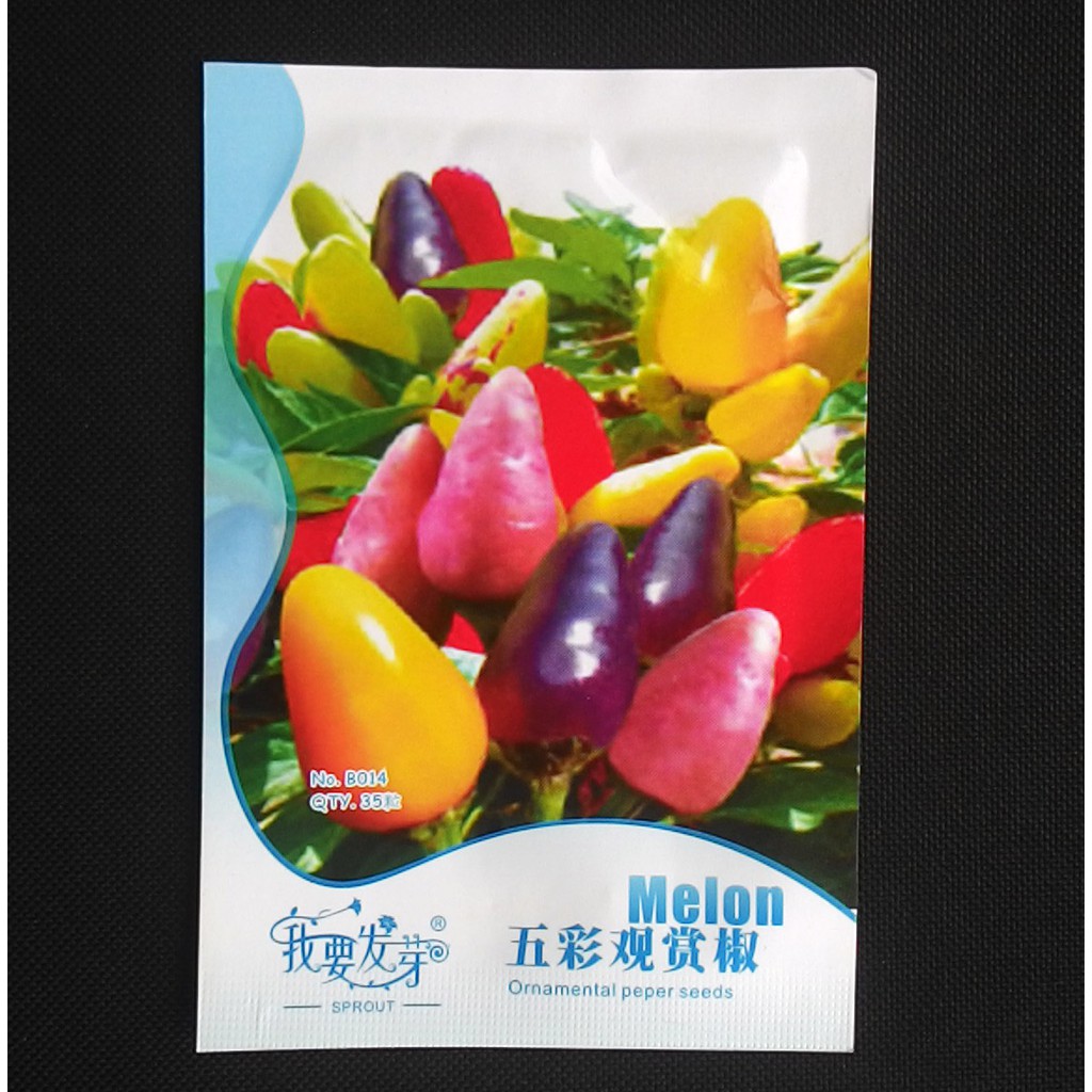 

Terlaris Cabai Multicolour Ornamental Pepper Grosir