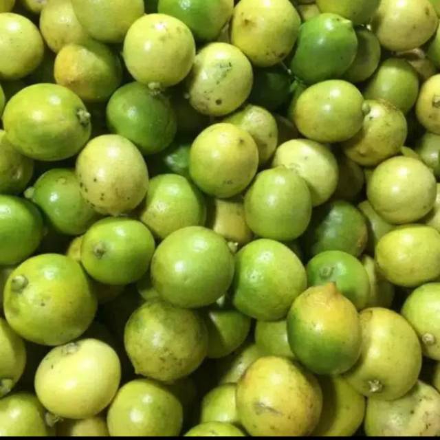 

Jeruk lemon lokan 500g Baru