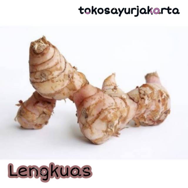 

Lengkuas / Laos - 250 gram