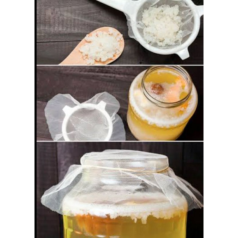 

bibit water kefir/algae jepang /algae cristal/tibicos 50gr