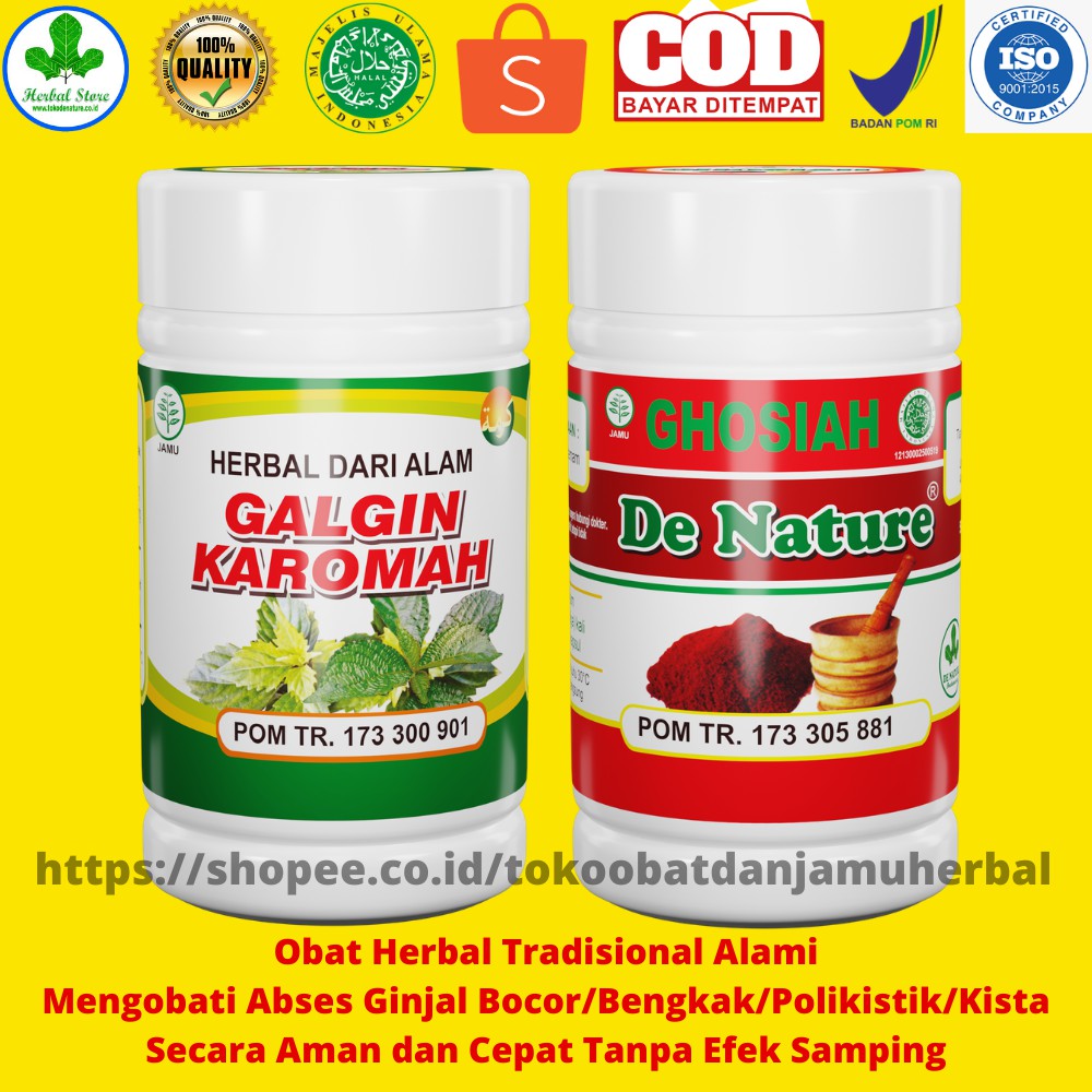 Obat Herbal Mengobati Abses Ginjal-Ginjal Bengkak-Ginjal Polikistik-Kista Ginjal-Ginjal Bocor