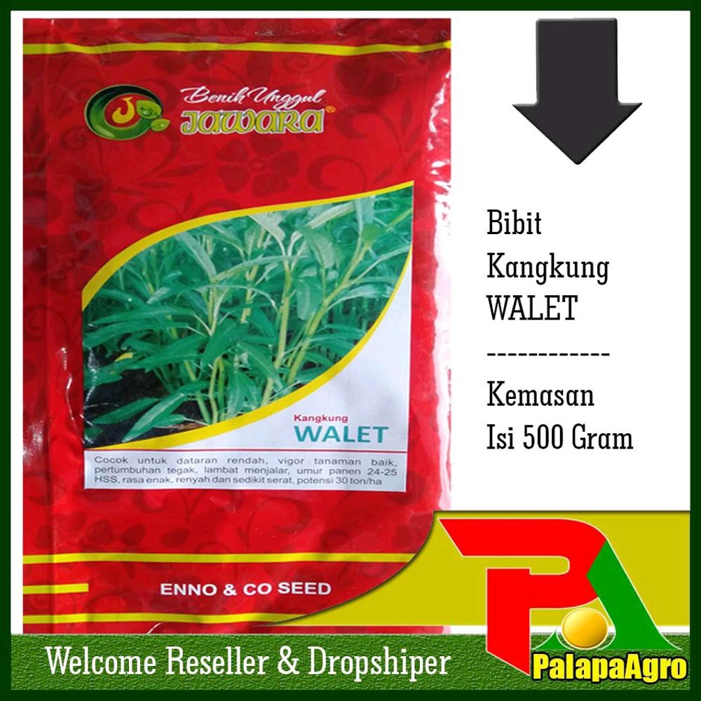 Benih Kangkung WALET 500gram Berkualitas