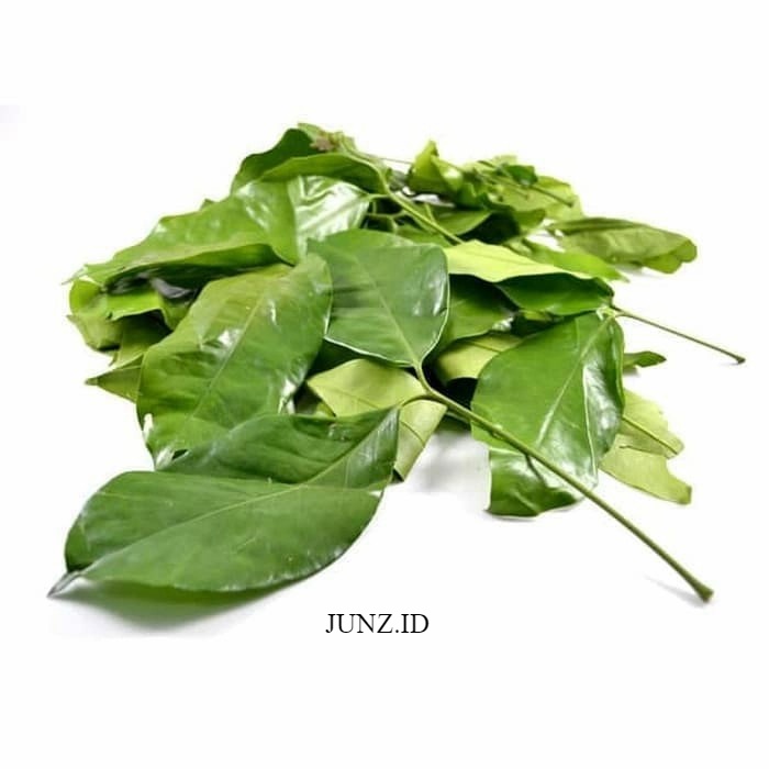 

DAUN MELINJO KERING 250 GRAM - Gnetum Gnemon - MURNI