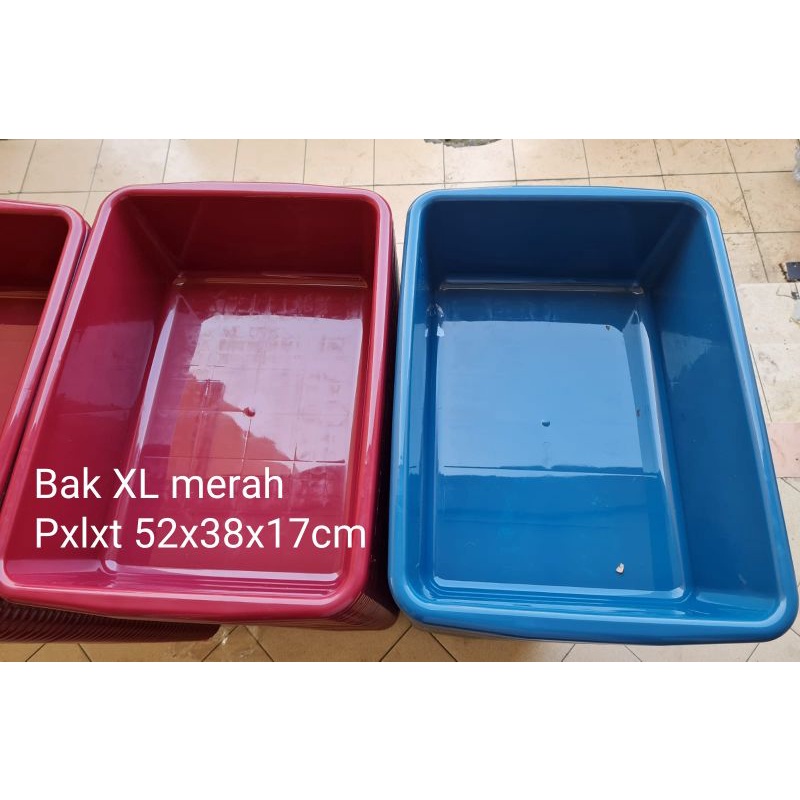 Bak box pasir kucing XL paling gede 52cm