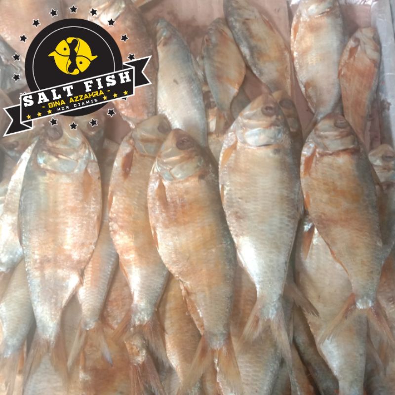 

Ikan Asin Belo Fresh (1 Kg)