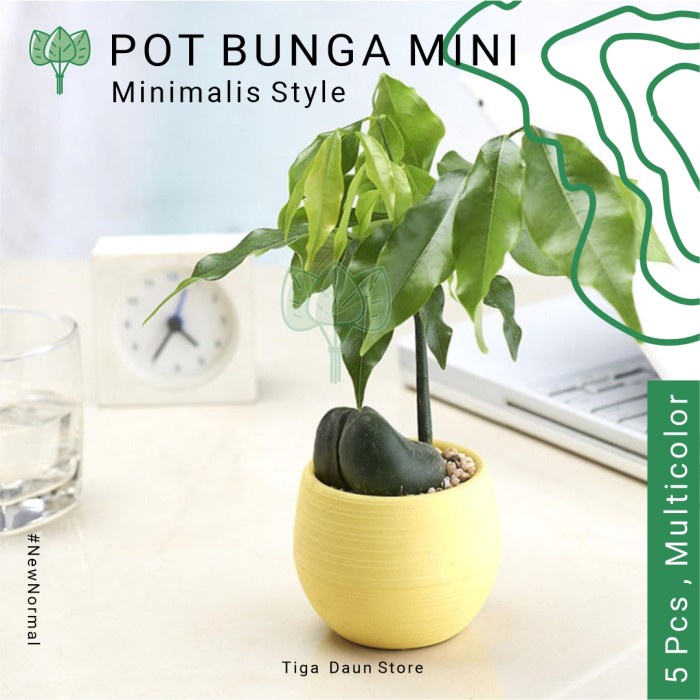 Pot Bunga Mini 5 Pcs Modern Minimalis Pot Tanaman Hias