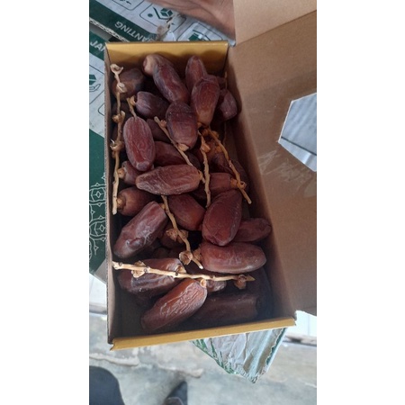 

Kurma Tunisia Tangkai