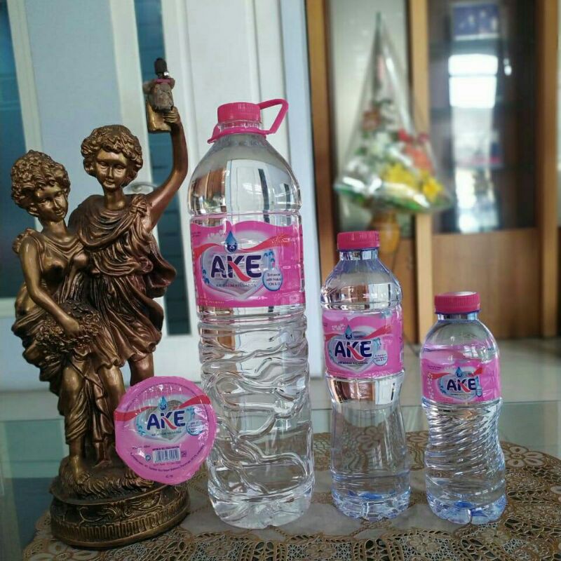 Jual Air Mineral Ake 220 Ml 1 Karton 48 Pcs Shopee Indonesia 9806