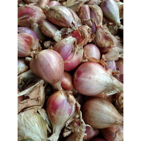 

bawang Sumenep mentah 1kg