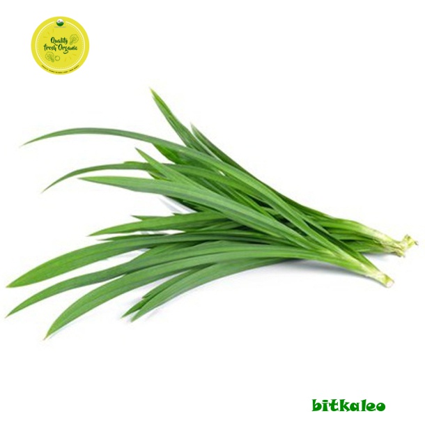 

Daun Pandan Organik 200 gr (PO)