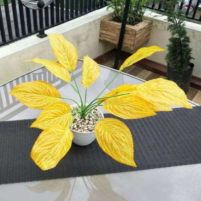 Tanaman Bunga Plastik Artificial Daun Monstera Kuning Plus Pot 15 Cm Shopee Indonesia