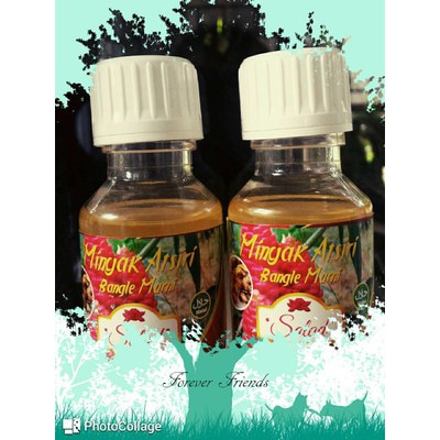 MINYAK ATSIRI BANGLE MURNI