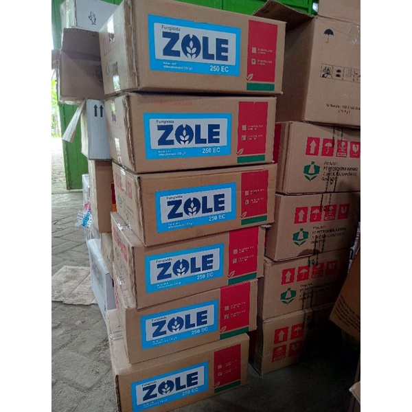 Fungisida ZOLE 250 EC