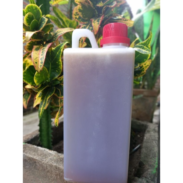 

madurandu