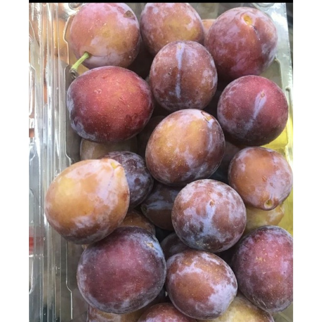 

plum sugar afrika | buah plum sugar manis | 500 grm