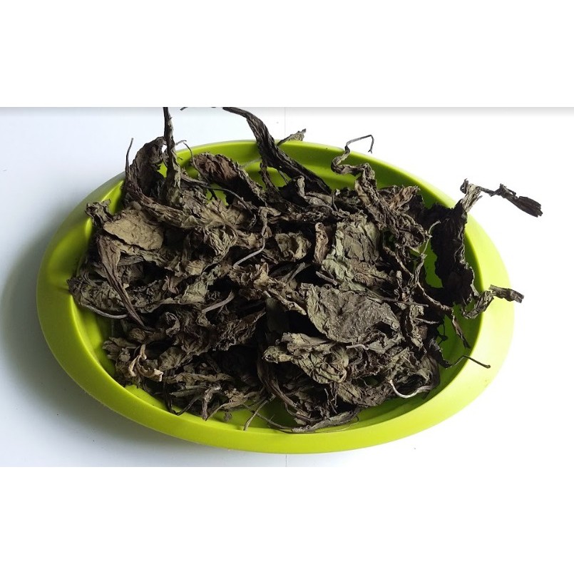 Simplisia Daun Afrika Kering Best Quality 1 Kg