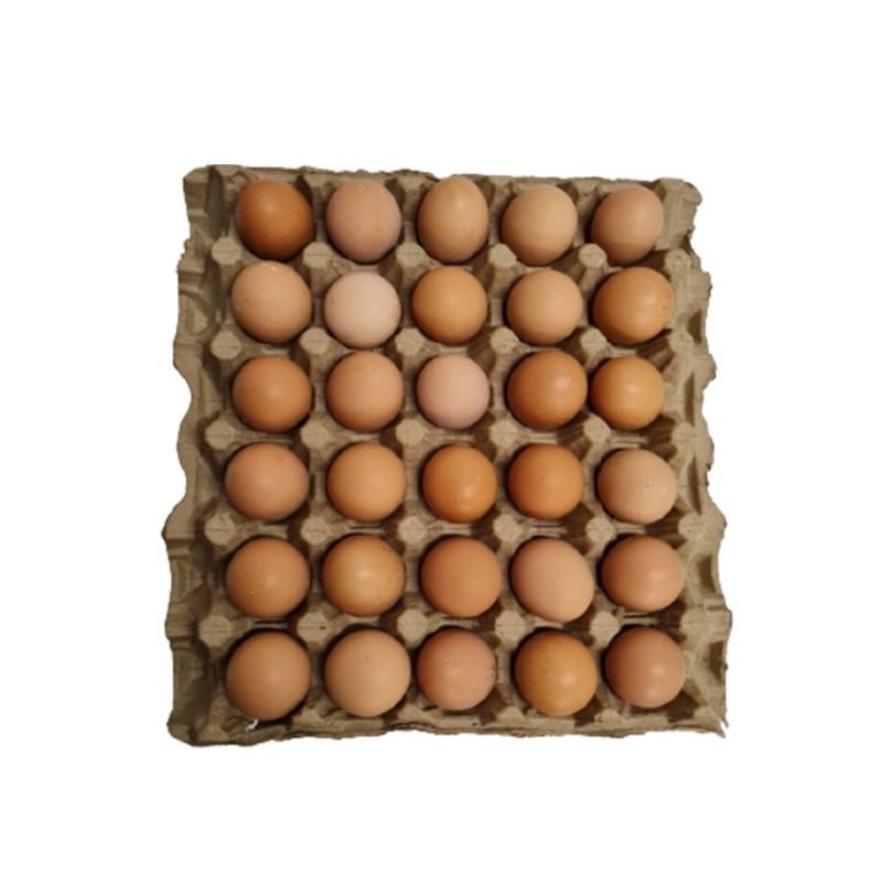 

Telur Ayam