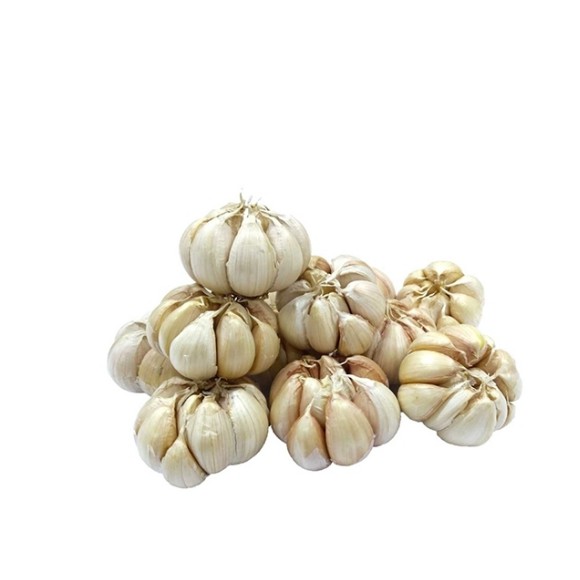

BAWANG PUTIH MONTOK 250gram