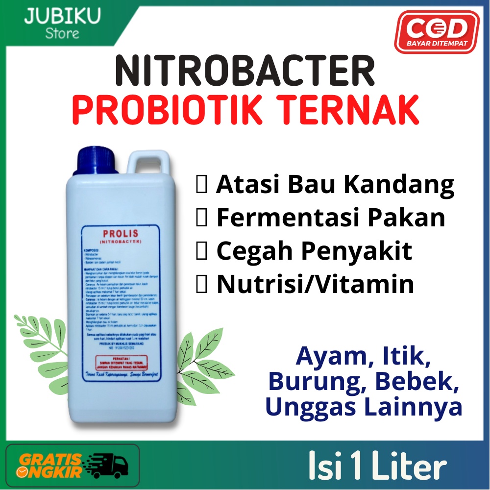 Probiotik Nitrobacter Untuk Ternak Unggas, Ayam, Itik, Burung, Bebek
