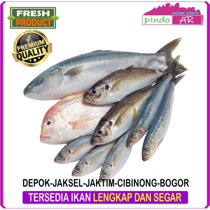 

IKAN SEGAR DEPOK - JAKARTA SELATAN - JAKARTA TIMUR - CIBINONG - BOGOR