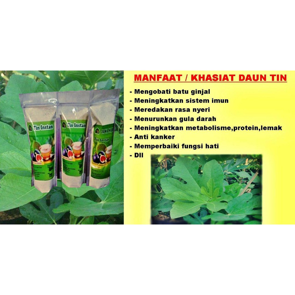 

Daun Tin Instan