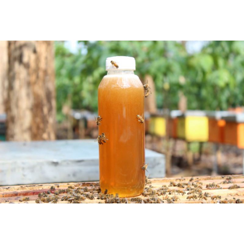 

MADU MURNI 700gr (Raw Honey)