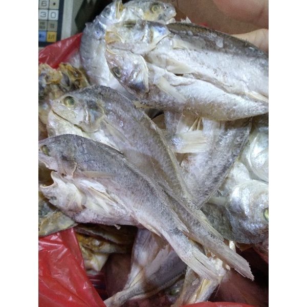 

kepala batu belah 250g 20 rb