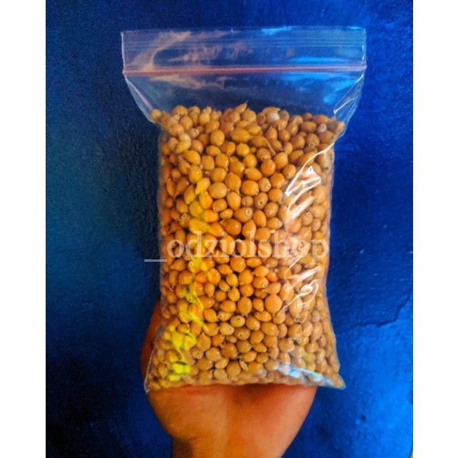 

biji jali jali utuh / biji-bijian