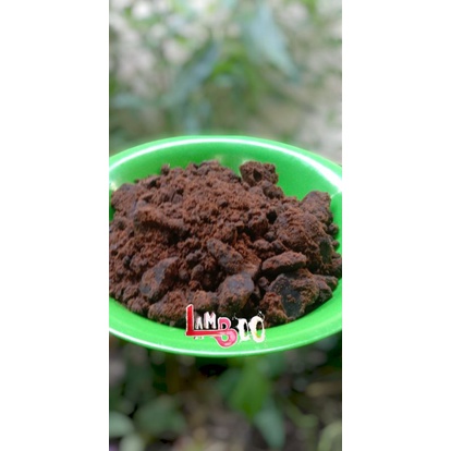 molase kering / gula merah tebu. eco enzyme