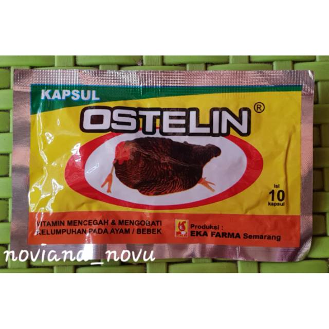 OSTELIN KAPSUL OBAT LUMPUH TETELO SARAF AYAM