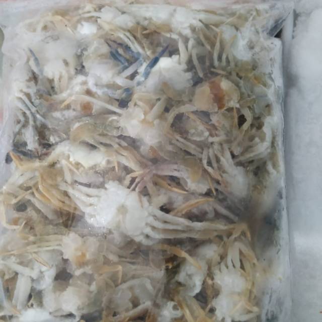 

Baby crab