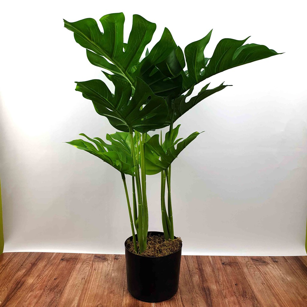 Daun Hias Philodendron Monstera Plastik 60 cm + pot/ Daun Artificial/ Daun Palsu/ Tanaman Artificial