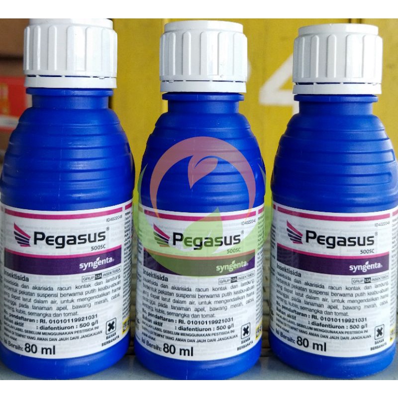 Syngenta Pegasus 500 SC 80 ml