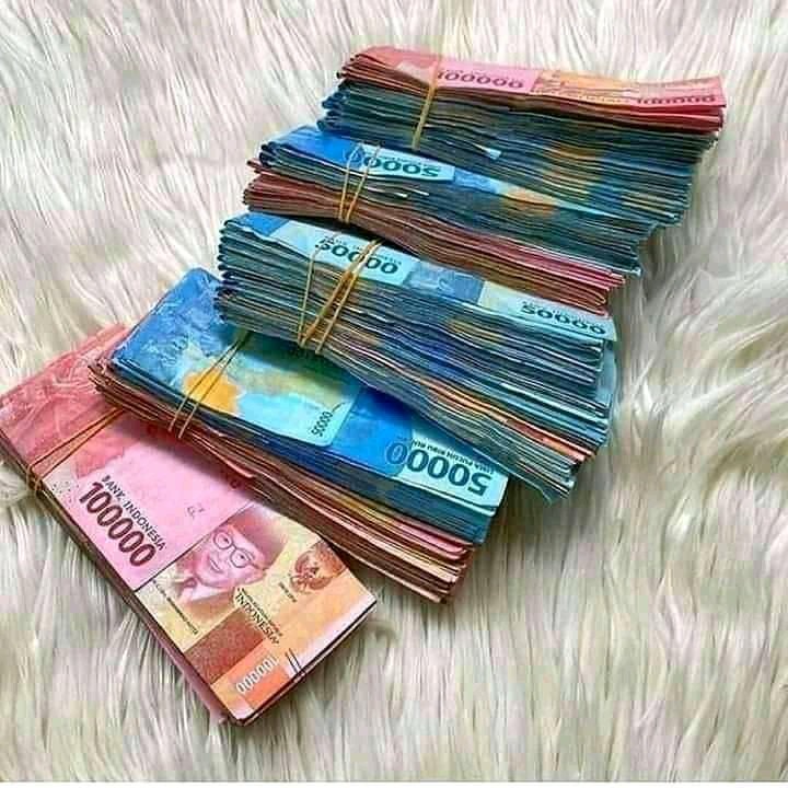 Pisau Ekpose Ukuran 35cm Alat Acian Tembok Dan Lantai