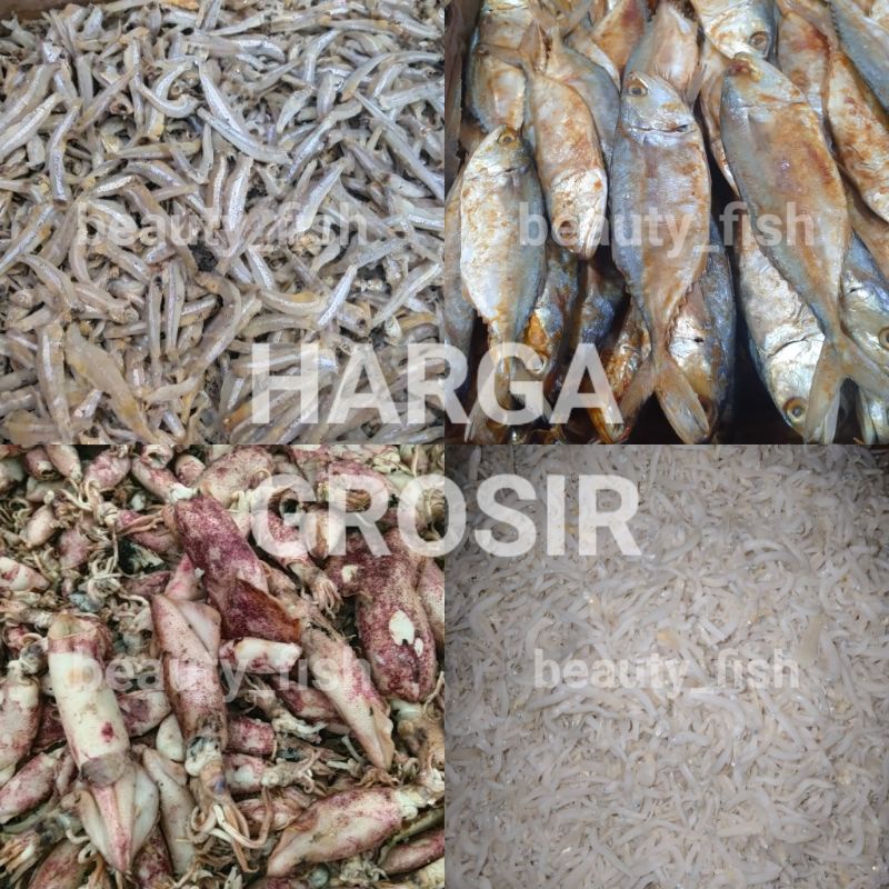 Ikan Asin Premium Teri Nasi Medan Jengki Bontio Cumi Gabus Jambal Cucut Peda Merah Ikan Asin Manis D