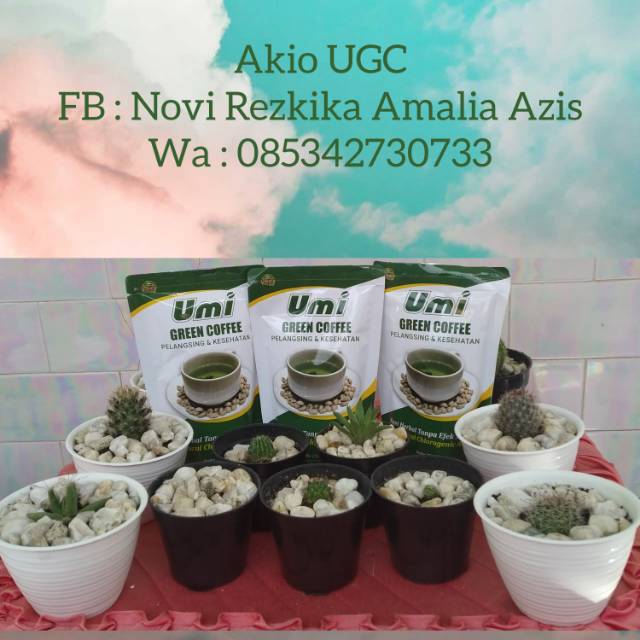 

UGC Umi Green Coffee