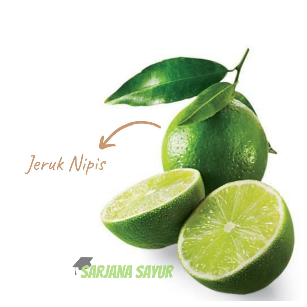 

Jeruk Nipis per pack / Sarjana Sayur